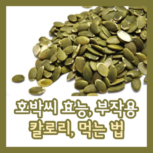 호박씨 효능, 부작용, 칼로리, 먹는 법 섬네일