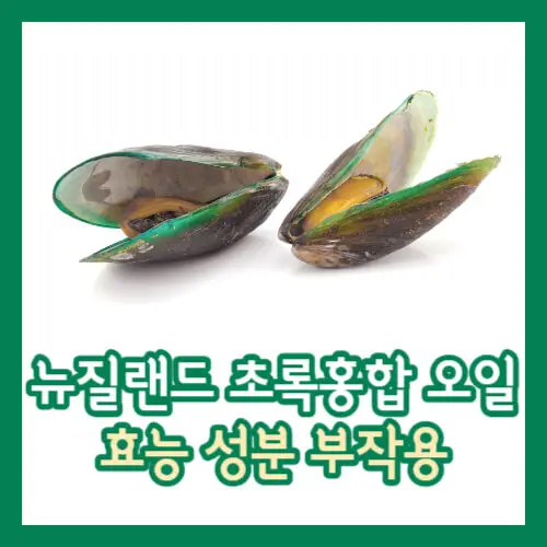 뉴질랜드 초록홍합 오일 효능 성분 부작용 썸네일