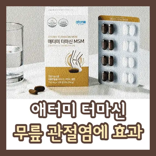 애터미 터마신 무릎 관절염에 효과 썸네일