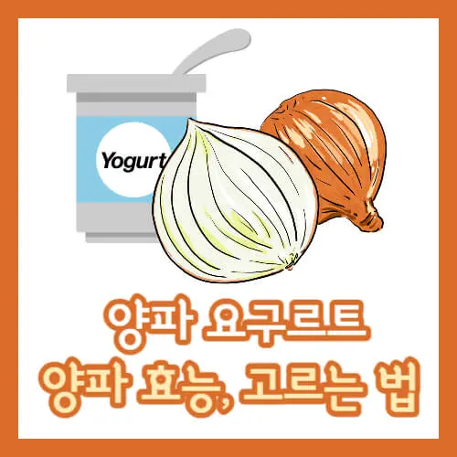 양파요구르트만드는법 썸네일