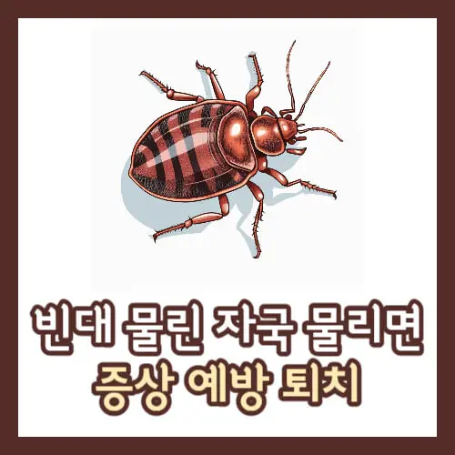 빈대 물린 자국 물리면 증상 예방 퇴치 섬네일