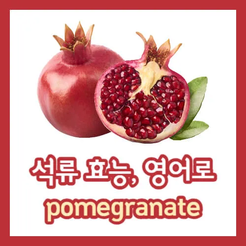 석류 효능 영어로 pomegranate 썸네일